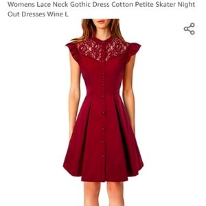 Scarlet Lace Neck Skater Dress